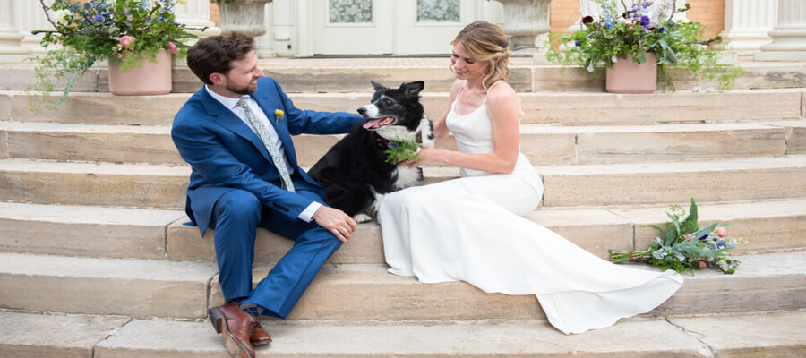  Fun Ways to Include Your Dog in Your Wedding